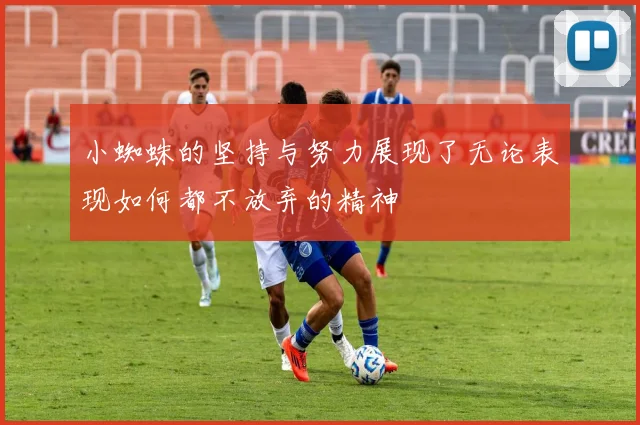 小蜘蛛的坚持与努力展现了无论表现如何都不放弃的精神